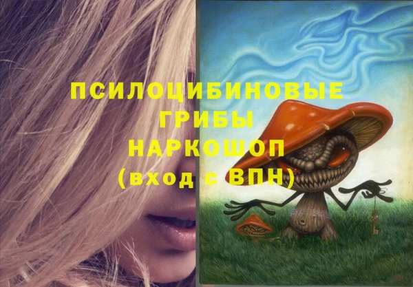амф Аркадак