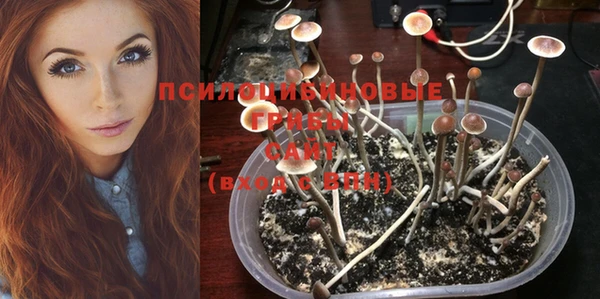 индика Армянск